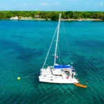 Scapade 8