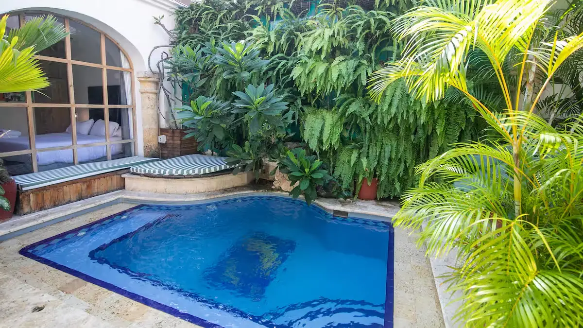 oasis 4
