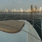freeland13