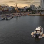 galea7